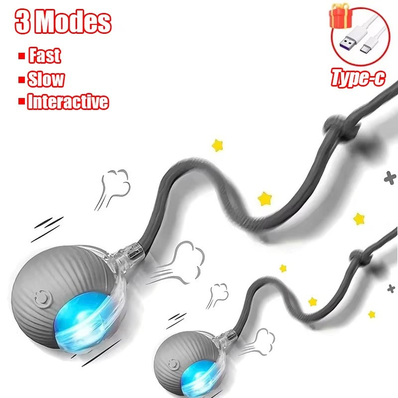 Smart Motion Ball for Pets