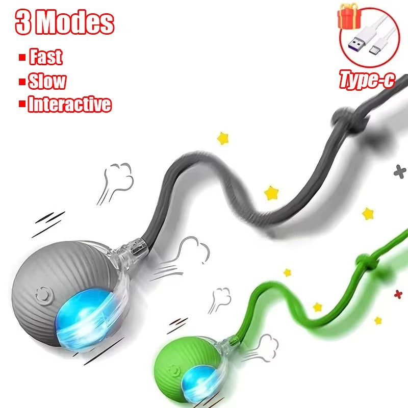 Smart Motion Ball for Pets